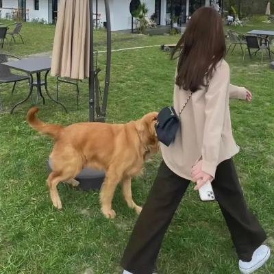忍者神龟第七季